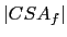 $\vert CSA_f\vert$